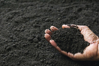 Чернозём Чернозём