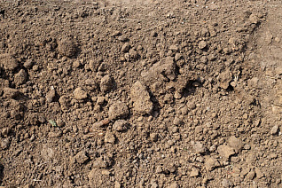 Пескогрунт Пескогрунт